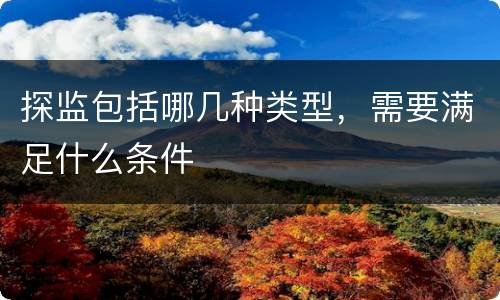 探监包括哪几种类型，需要满足什么条件