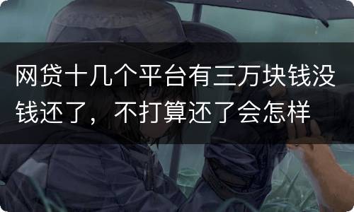 网贷十几个平台有三万块钱没钱还了，不打算还了会怎样