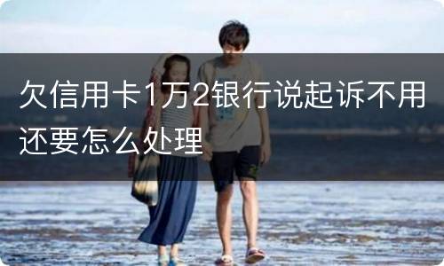 欠信用卡1万2银行说起诉不用还要怎么处理