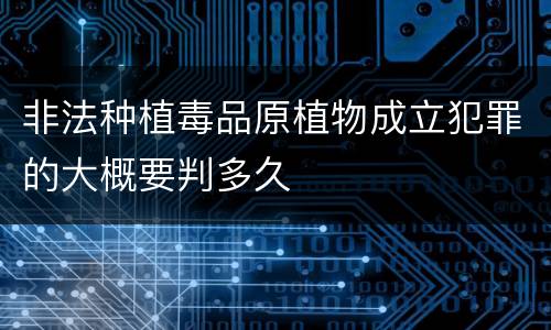 非法种植毒品原植物成立犯罪的大概要判多久