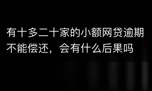 有十多二十家的小额网贷逾期不能偿还，会有什么后果吗