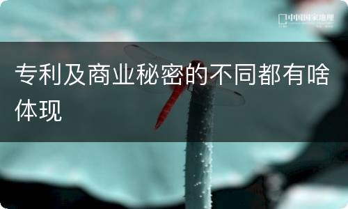 专利及商业秘密的不同都有啥体现