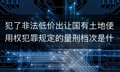 犯了非法低价出让国有土地使用权犯罪规定的量刑档次是什么