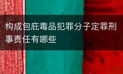 构成包庇毒品犯罪分子定罪刑事责任有哪些