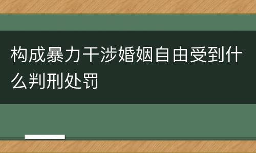构成暴力干涉婚姻自由受到什么判刑处罚