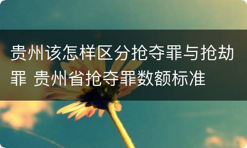 贵州该怎样区分抢夺罪与抢劫罪 贵州省抢夺罪数额标准