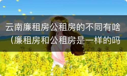 云南廉租房公租房的不同有啥（廉租房和公租房是一样的吗）