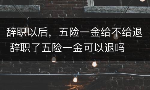 辞职以后，五险一金给不给退 辞职了五险一金可以退吗