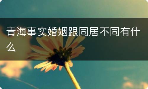 青海事实婚姻跟同居不同有什么