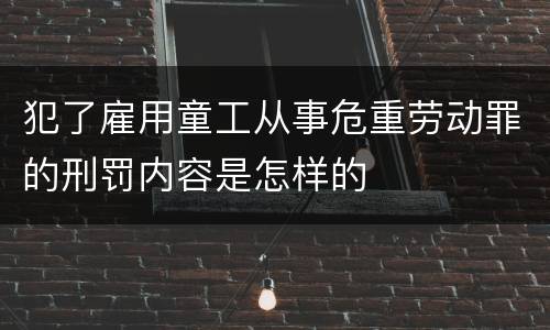 犯了雇用童工从事危重劳动罪的刑罚内容是怎样的