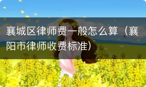 襄城区律师费一般怎么算（襄阳市律师收费标准）