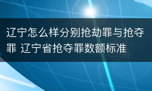 辽宁怎么样分别抢劫罪与抢夺罪 辽宁省抢夺罪数额标准