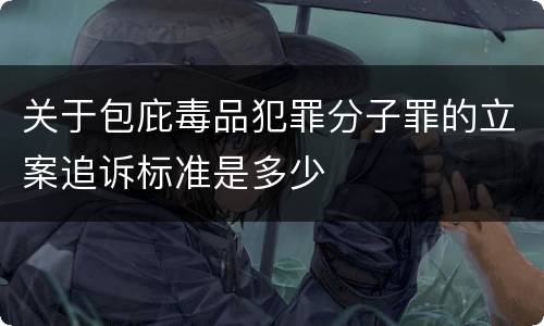 关于包庇毒品犯罪分子罪的立案追诉标准是多少