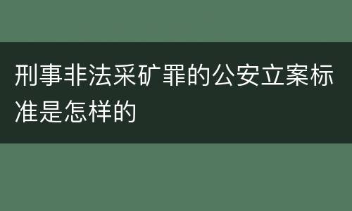 刑事非法采矿罪的公安立案标准是怎样的