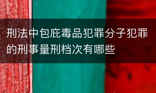 刑法中包庇毒品犯罪分子犯罪的刑事量刑档次有哪些