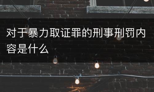 对于暴力取证罪的刑事刑罚内容是什么