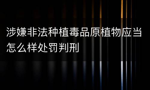 涉嫌非法种植毒品原植物应当怎么样处罚判刑
