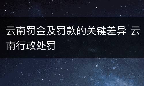 云南罚金及罚款的关键差异 云南行政处罚