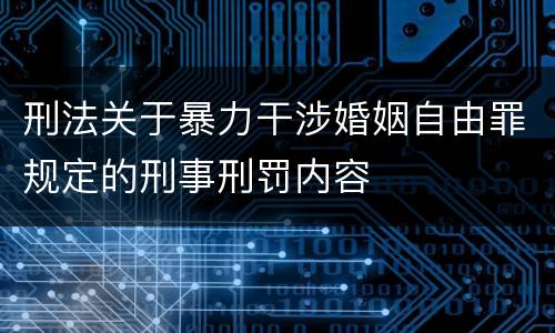 刑法关于暴力干涉婚姻自由罪规定的刑事刑罚内容