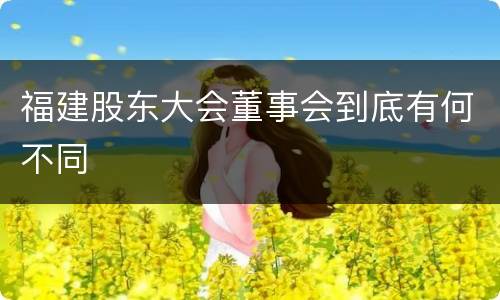 福建股东大会董事会到底有何不同