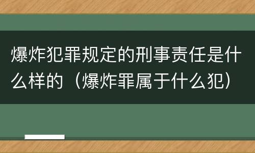 爆炸犯罪规定的刑事责任是什么样的（爆炸罪属于什么犯）