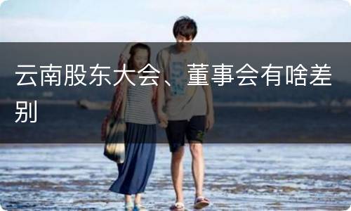 云南股东大会、董事会有啥差别