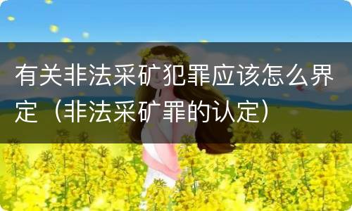 有关非法采矿犯罪应该怎么界定（非法采矿罪的认定）