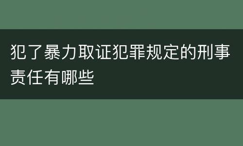 犯了暴力取证犯罪规定的刑事责任有哪些