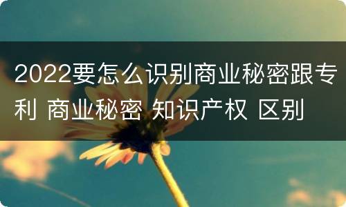 2022要怎么识别商业秘密跟专利 商业秘密 知识产权 区别
