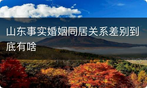 山东事实婚姻同居关系差别到底有啥