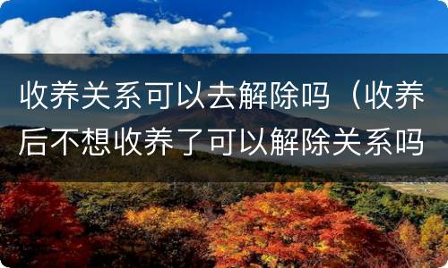 收养关系可以去解除吗（收养后不想收养了可以解除关系吗）