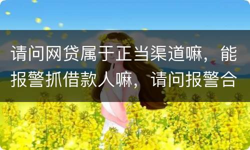 请问网贷属于正当渠道嘛，能报警抓借款人嘛，请问报警合理嘛