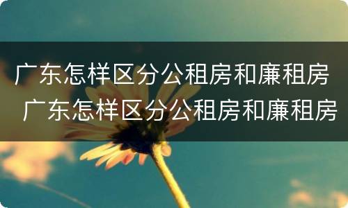 广东怎样区分公租房和廉租房 广东怎样区分公租房和廉租房的区别