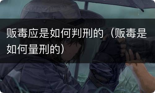贩毒应是如何判刑的（贩毒是如何量刑的）
