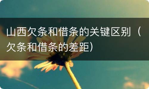 山西欠条和借条的关键区别（欠条和借条的差距）