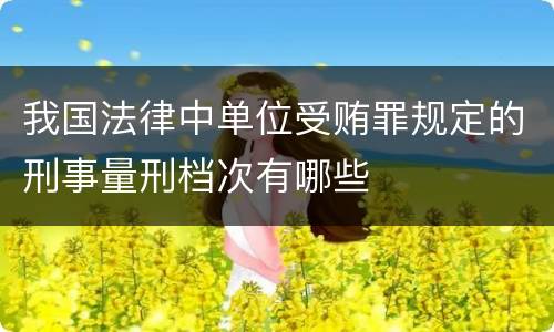 我国法律中单位受贿罪规定的刑事量刑档次有哪些