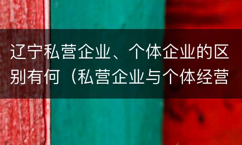辽宁私营企业、个体企业的区别有何（私营企业与个体经营企业的区别）