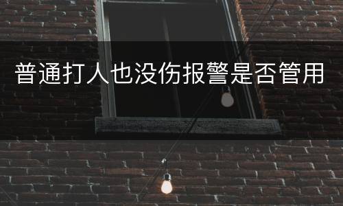普通打人也没伤报警是否管用