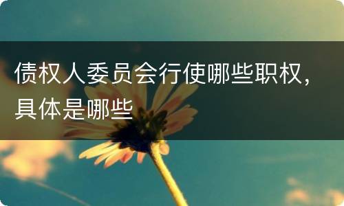 债权人委员会行使哪些职权，具体是哪些