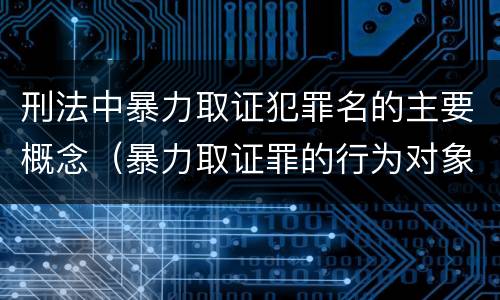 刑法中暴力取证犯罪名的主要概念（暴力取证罪的行为对象是）