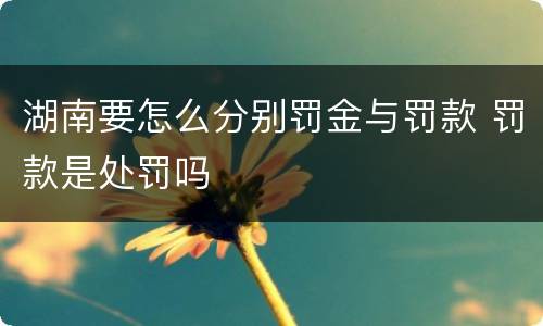 湖南要怎么分别罚金与罚款 罚款是处罚吗