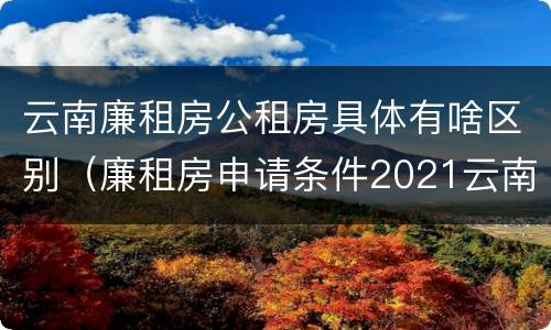 云南廉租房公租房具体有啥区别（廉租房申请条件2021云南）