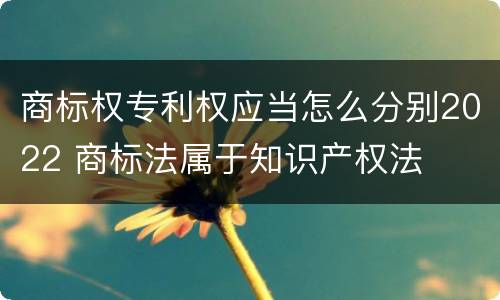 商标权专利权应当怎么分别2022 商标法属于知识产权法