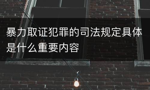 暴力取证犯罪的司法规定具体是什么重要内容