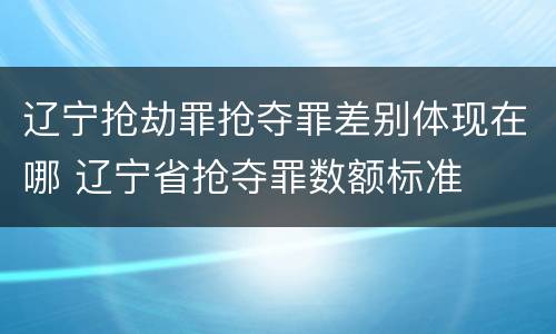 辽宁抢劫罪抢夺罪差别体现在哪 辽宁省抢夺罪数额标准