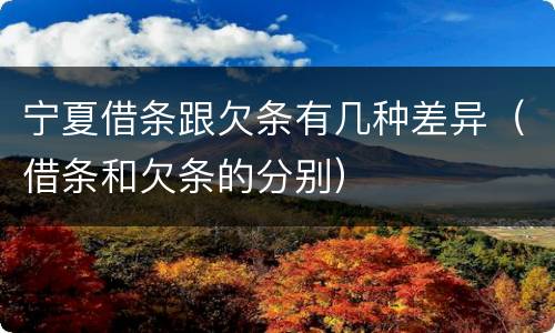 宁夏借条跟欠条有几种差异（借条和欠条的分别）