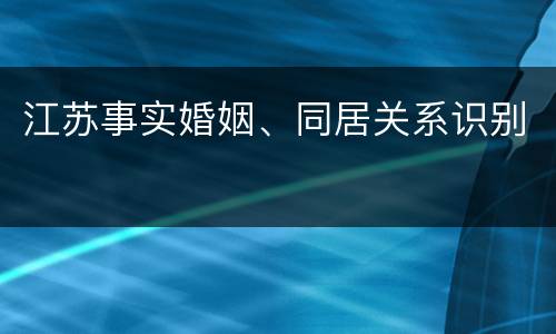 江苏事实婚姻、同居关系识别