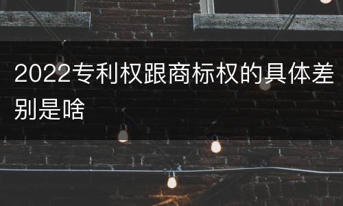 2022专利权跟商标权的具体差别是啥