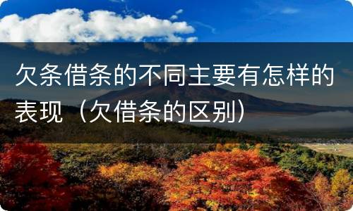 欠条借条的不同主要有怎样的表现（欠借条的区别）