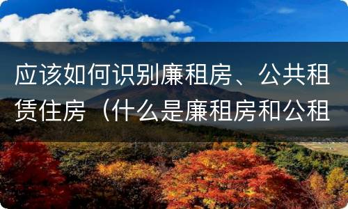 应该如何识别廉租房、公共租赁住房（什么是廉租房和公租房两个有什么特点）